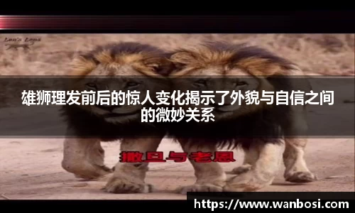 DB视讯平台DB视讯官方网站